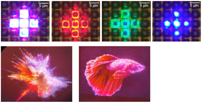 上海顯耀顯示宣布其單片RGB Micro