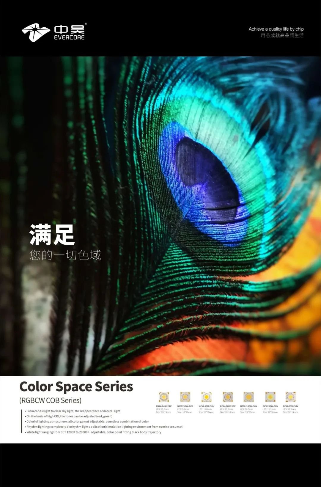 走出國門，走向世界 | 孟買展回顧