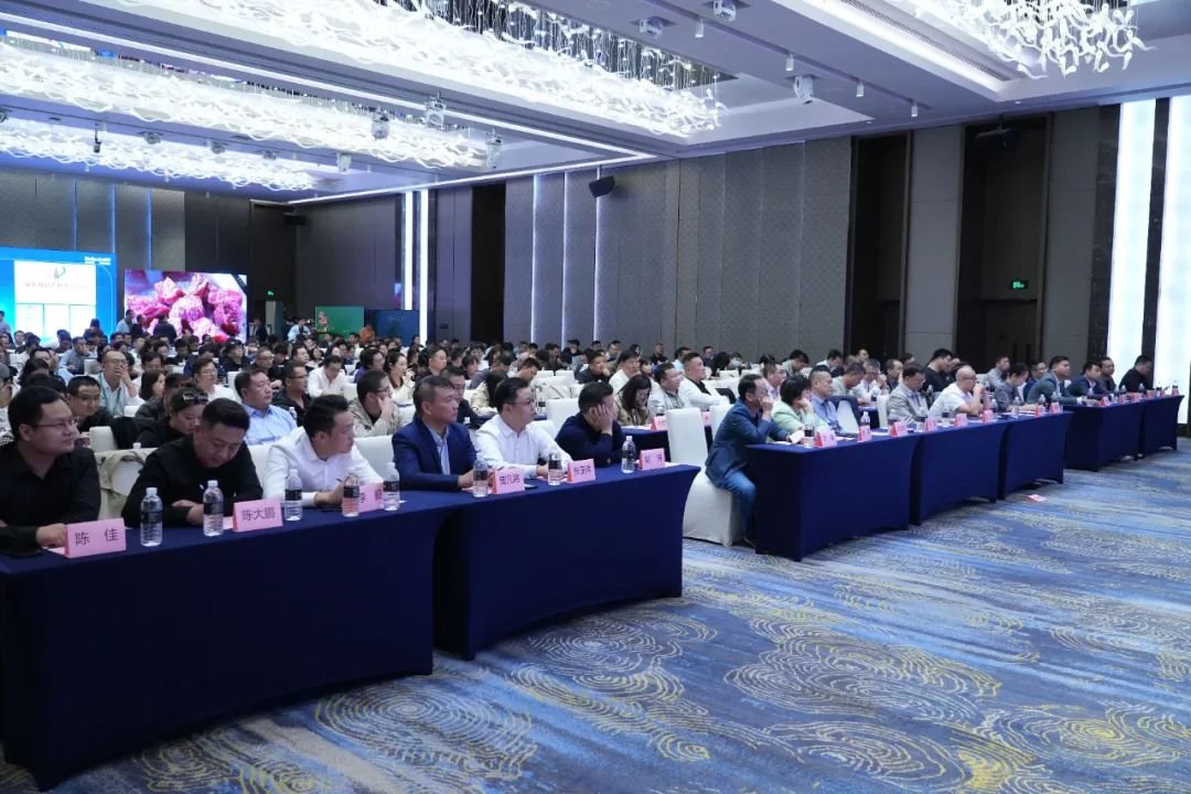 【上海站】洲明集團2023共進峰會COB專場圓滿成功