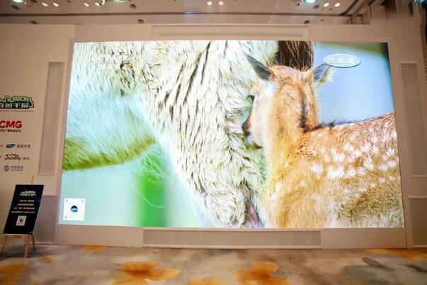 專家指出加快新型顯示技術自主創新，顯示產業將進一步發展