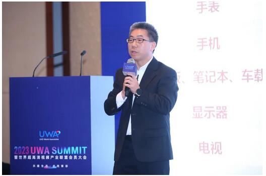多家LED顯示屏十強企業亮相2023 UWA Summit