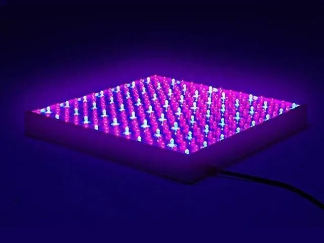 放棄Micro LED市場?不!中國屏企發(fā)展正當時