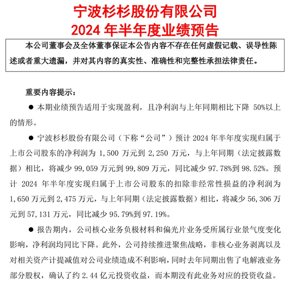 杉杉股份2024年半年度業績預告：盈利大幅下滑，業務調整中尋求突破