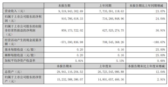 兆馳股份 2024 年半年度報告：業績增長與業務突破