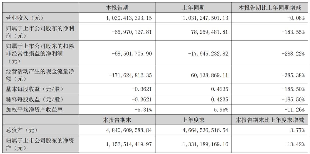 2024 年八家 LED 及相關企業半年度報告解讀