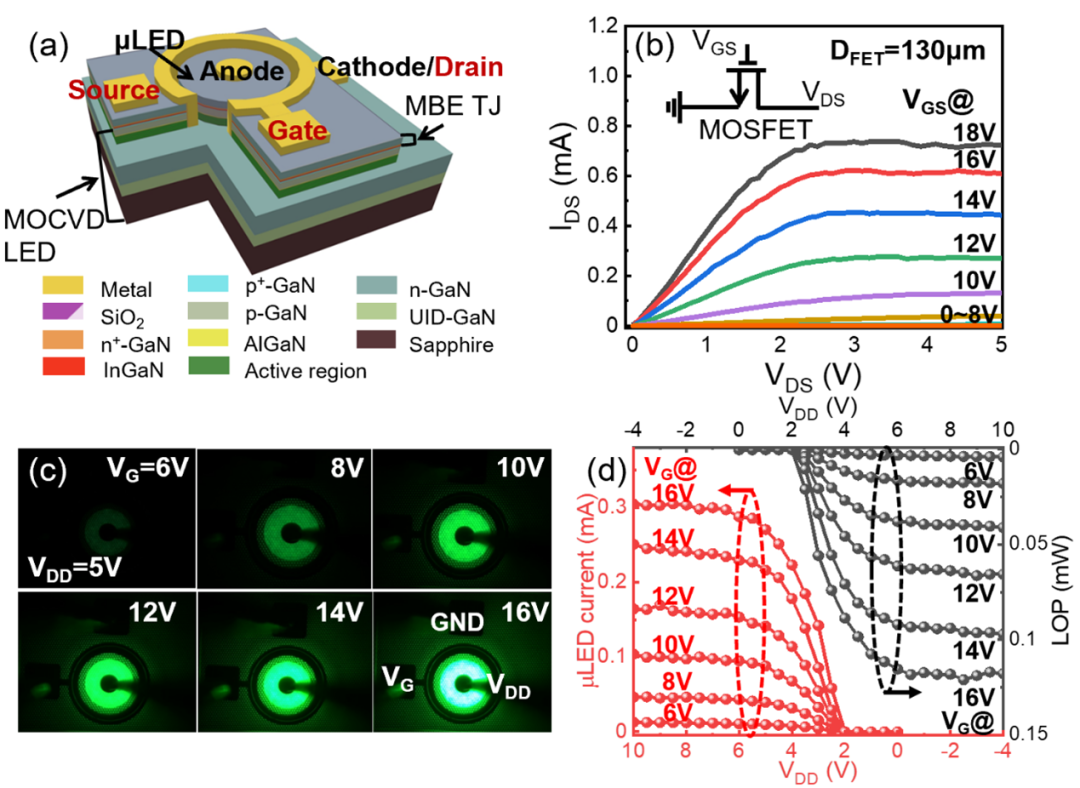 南京大學團隊開辟 Micro LED 全氮化物單片集成新路徑