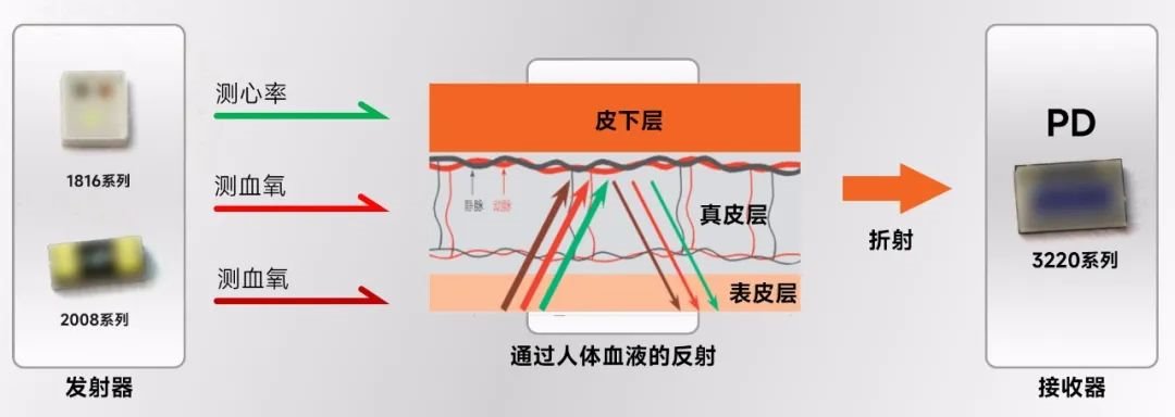 國星光電：創新引領，開啟智能健康感測新時代