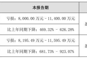 2024 年度 LED 行業業績大揭秘：十家企業的沉浮與突破