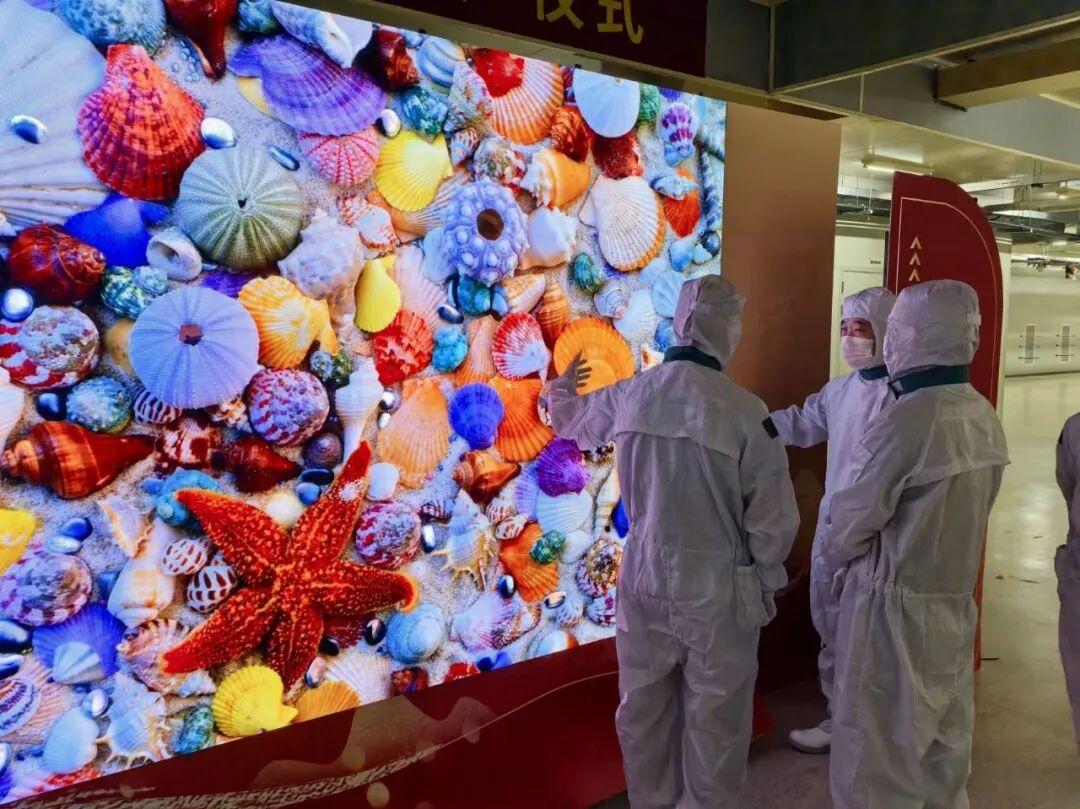 TCL華星COB顯示屏實現量產,MLED產業化邁入新階段